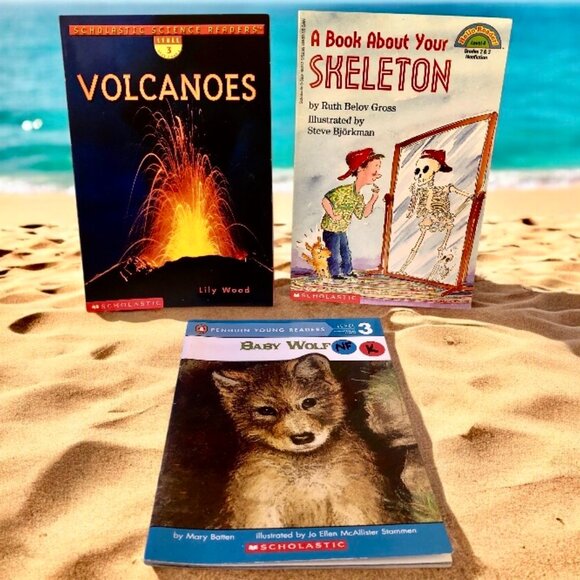 National Geograph KIDS Three Magazine+ Four Others Tigers Koalas Catterpillers - Picture 4 of 6